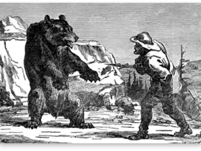 bear
